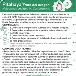 Kit de autocultivo Pitahaya Fruta dragón Planeta Huerto