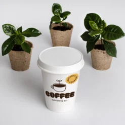 Kit de Cultivo de Café Arábica Cultiva tu Propio Cafeto en Casa | Regalo Original - Resetea