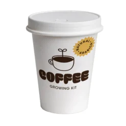 Kit de Cultivo de Café Arábica Cultiva tu Propio Cafeto en Casa | Regalo Original - Resetea