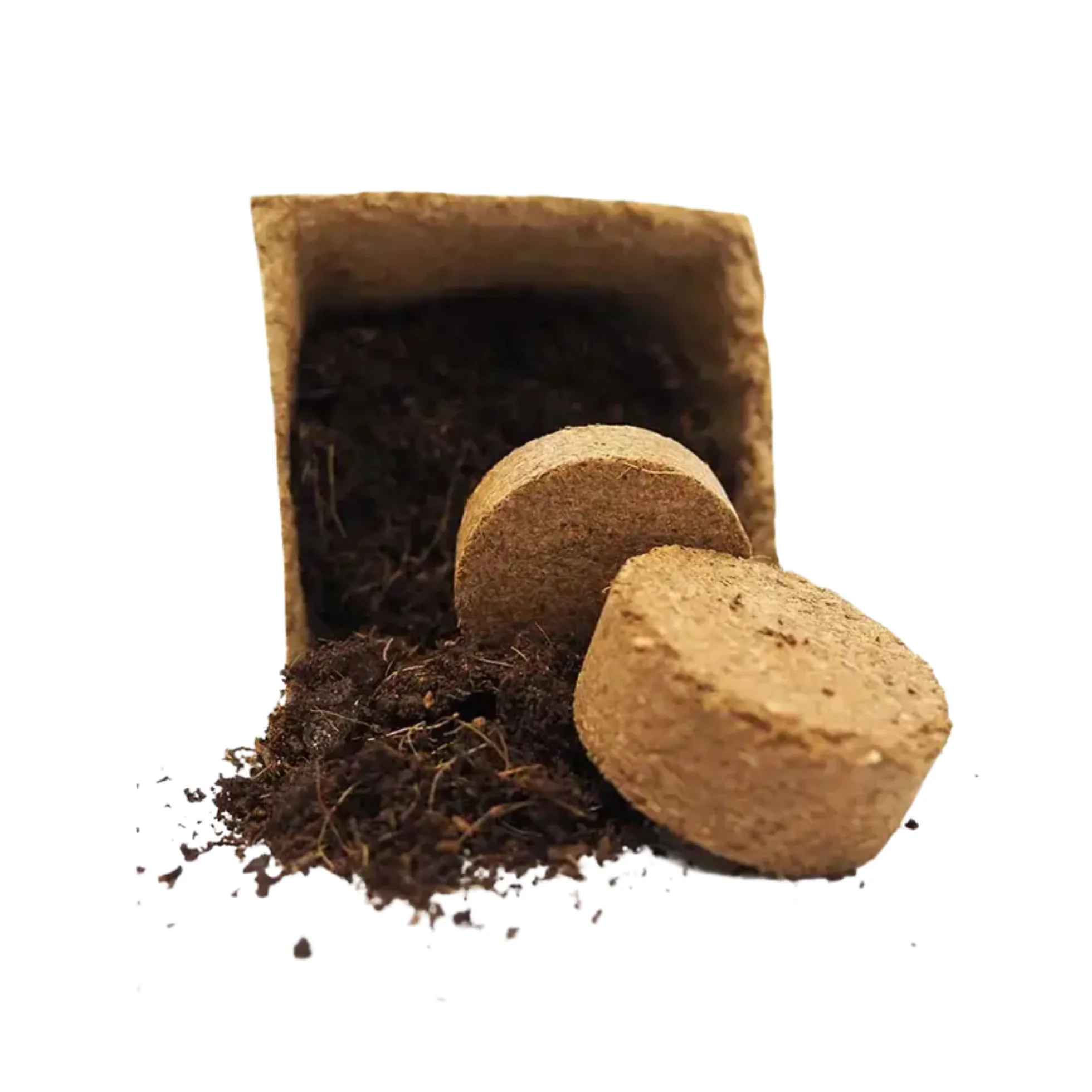 Kit De Cultivo De Lechuga Trocadero