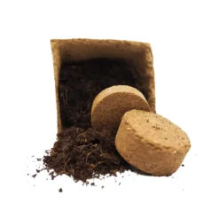 Kit De Cultivo De Orégano Grow Me – Huerto Urbano Ecológico