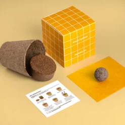 Kit de Cultivo Urban Flowers Amarillas Alhelí Dorado, Hinojo y Meliloto | Semillas para Interior y Exterior - Resetea