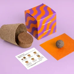 Kit de Cultivo Urban Flowers Naranjas Caléndula, Capuchina y Tagetes | Semillas para Interior y Exterior - Resetea
