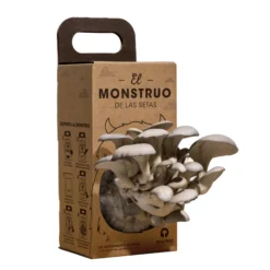 Kit de Setas para Niños El Monstruo de las Setas – STEM Montessori, Regalo Educativo - Resetea