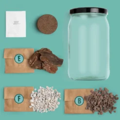 Kit Terrarium DIY – Mini Jardín Ecosistema Natural para Casa, Regalo Decorativo Original - Resetea
