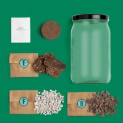 Kit Terrarium Pino – Crea Tu Ecosistema En Miniatura En Casa, Regalo Original - Resetea