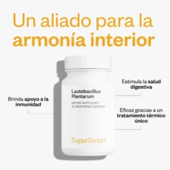 Lactobacillus Plantarum