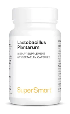 Lactobacillus Plantarum