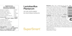 Lactobacillus Plantarum