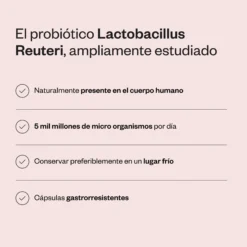 Lactobacillus Reuteri