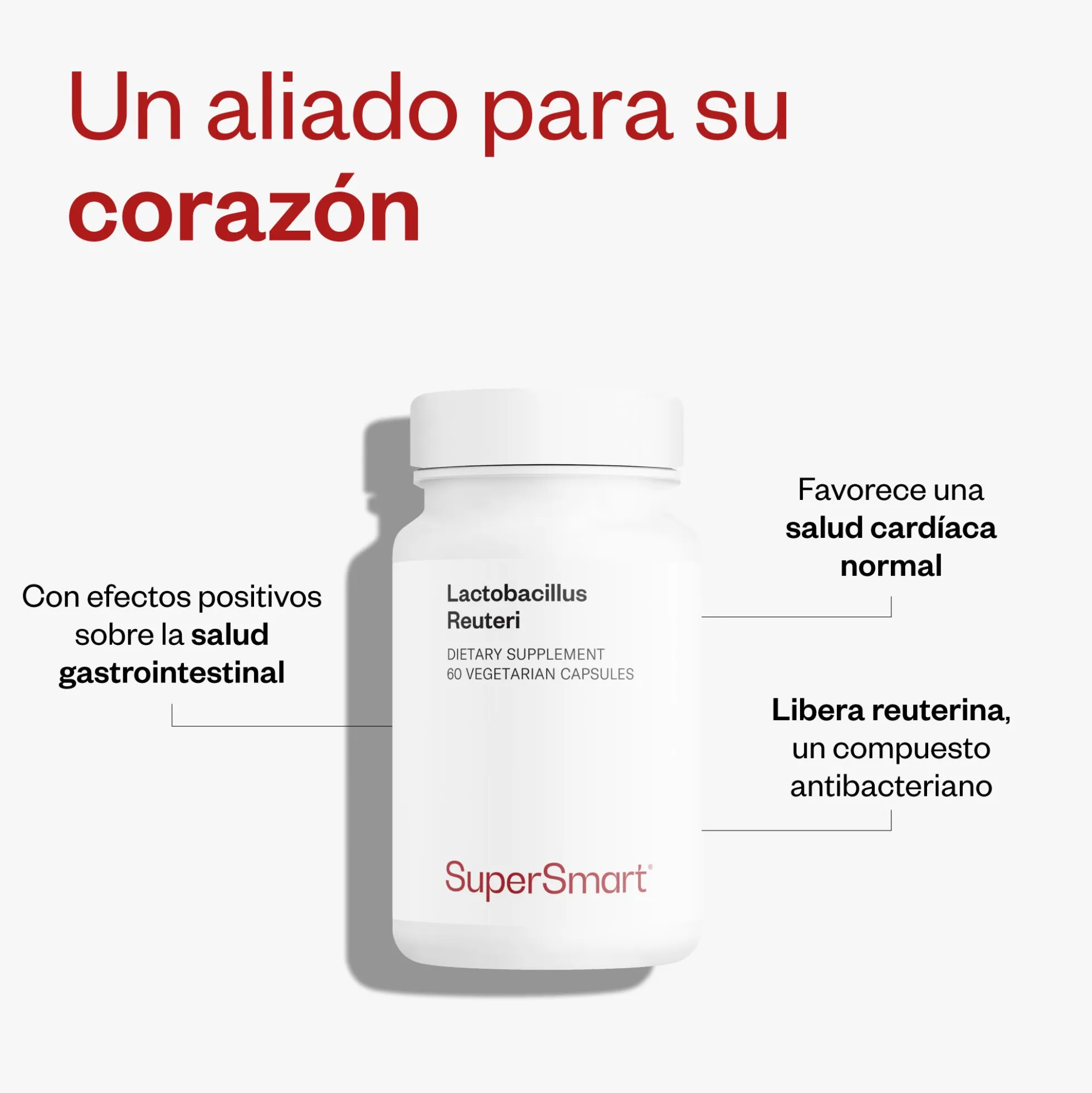 Lactobacillus Reuteri