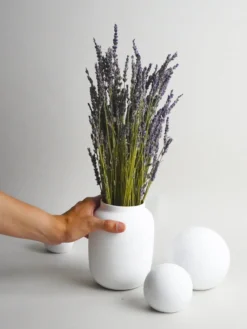 Lavanda Seca