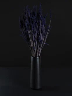 Lavanda Seca
