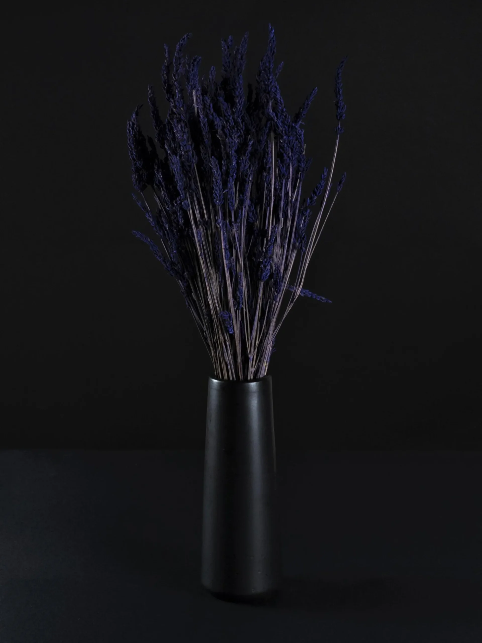 Lavanda Seca