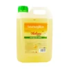 Lavavajillas sin perfume. Beltrán Vital 5 L