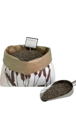 Lenteja Pardina (500g)