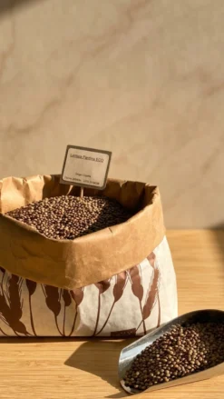 Lenteja Pardina (500g)