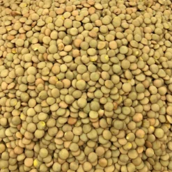 Lenteja Rubia Ecológica Granel 5 Kg