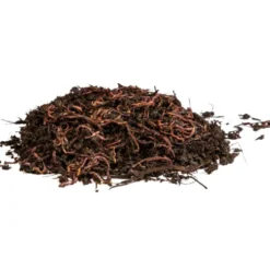 Lombrices rojas californianas para vermicompost Multihuerto 500 ud