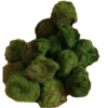 Lote 10 Bolas Marimo Moss Cladophora 2-3 Cm