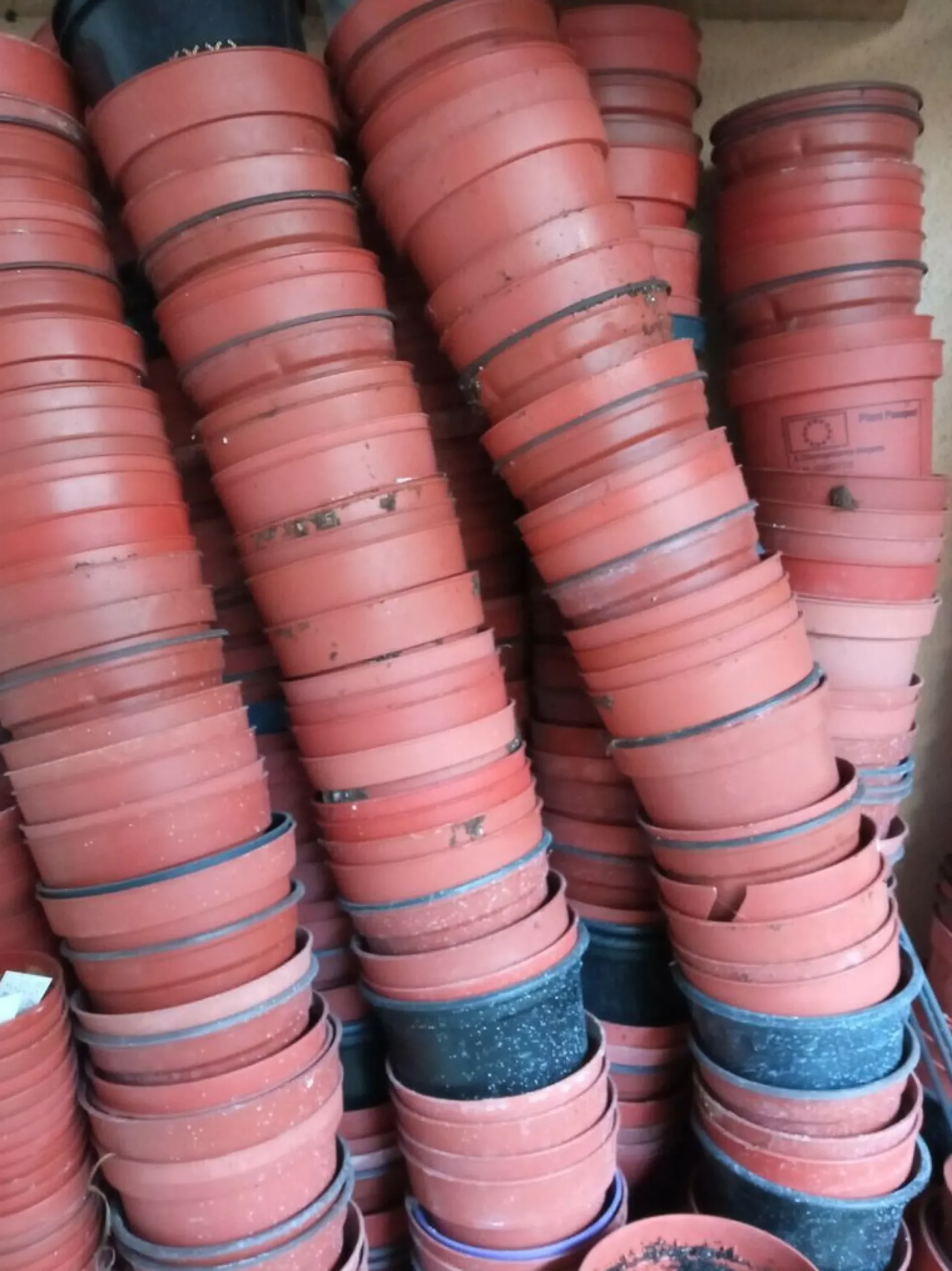 Lote 10 Macetas 8'5 Cms Usadas Plastico Plantas