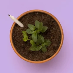 Lápiz Plantable de Flores – Papel Reciclado, Escribe, Dibuja y Plántalo, Regalo Original - Resetea