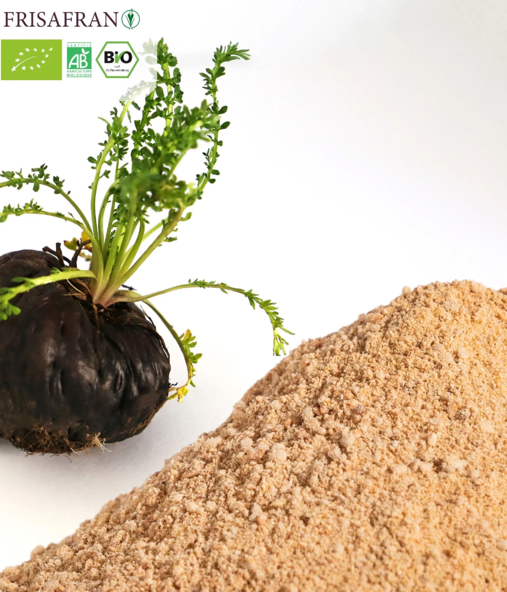 Maca Negra En Polvo Ecológica | Calidad | Frisafran 200 G