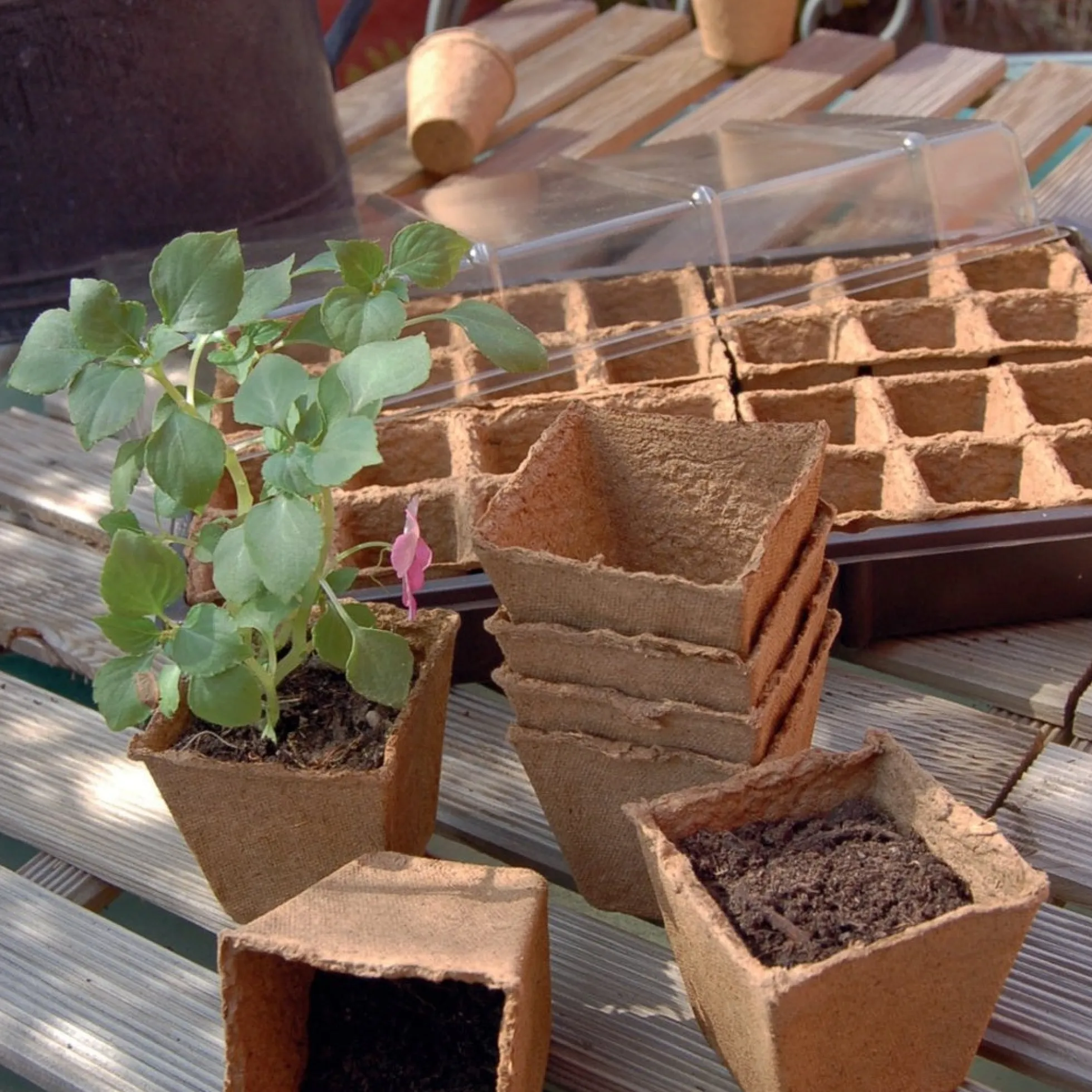 Maceta Compostable Nort Growing Pot 6x6 Cm 24 Uds Nortene