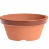 Maceta De Entrenamiento Japonesa Para Bonsái Nº 4.5 (14.5cm) Bonsaigranada