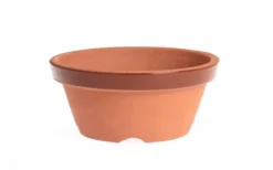 Maceta De Entrenamiento Japonesa Para Bonsái Nº 5 (15.5cm) Bonsaigranada