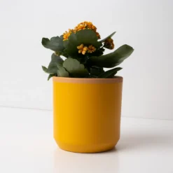 Macetero de Terracota Amarillo Azafrán 13 cm – Hecho a Mano por Artesanos, Maceta Decorativa - Resetea