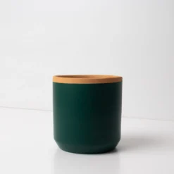 Macetero de Terracota Verde Helecho 13 cm – Hecho a Mano por Artesanos, Maceta Decorativa - Resetea