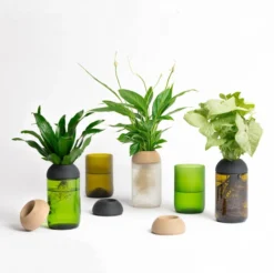 Macetero Transparente Citysens Con Soporte De Ébano – Ámbar, Vidrio Reutilizado Y Biofilamento Con Madera Impreso En 3d