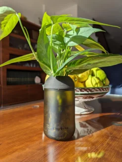 Macetero Transparente Citysens Con Planta Y Soporte De Ébano – Ámbar, Vidrio Reutilizado Y Biofilamento De Madera 3d