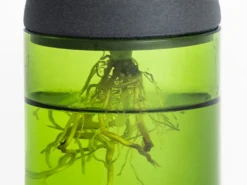 Macetero Transparente Citysens Con Soporte De Ébano – Verde, Vidrio Reutilizado Y Biofilamento De Madera 3d