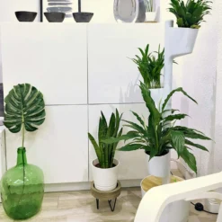 Macetero Vertical Citysens Con Riego Inteligente De 3 Macetas – Blanco, Polipropileno 100% Reciclado