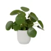 Macetero vibes fold round silky white Elho 25 cm