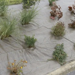 Malla Antihierbas Weedsol 1,25x25m Marrón Nortene