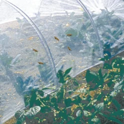 Malla Antiinsectos Biocontrol 2,20x10 M Blanco Nortene