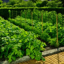 Malla Para Entutorar Trellinet 2x10 M Verde Nortene