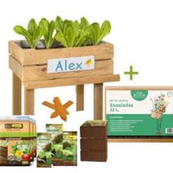 Mesa De Cultivo Infantil De Madera Con Kit De Cultivo De Ensaladas | Vidahuerto