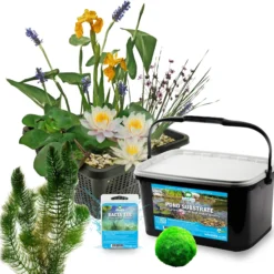 Mini Estanque Set Completo Blanco 25-90l - 11 Plantas Y Bacterias