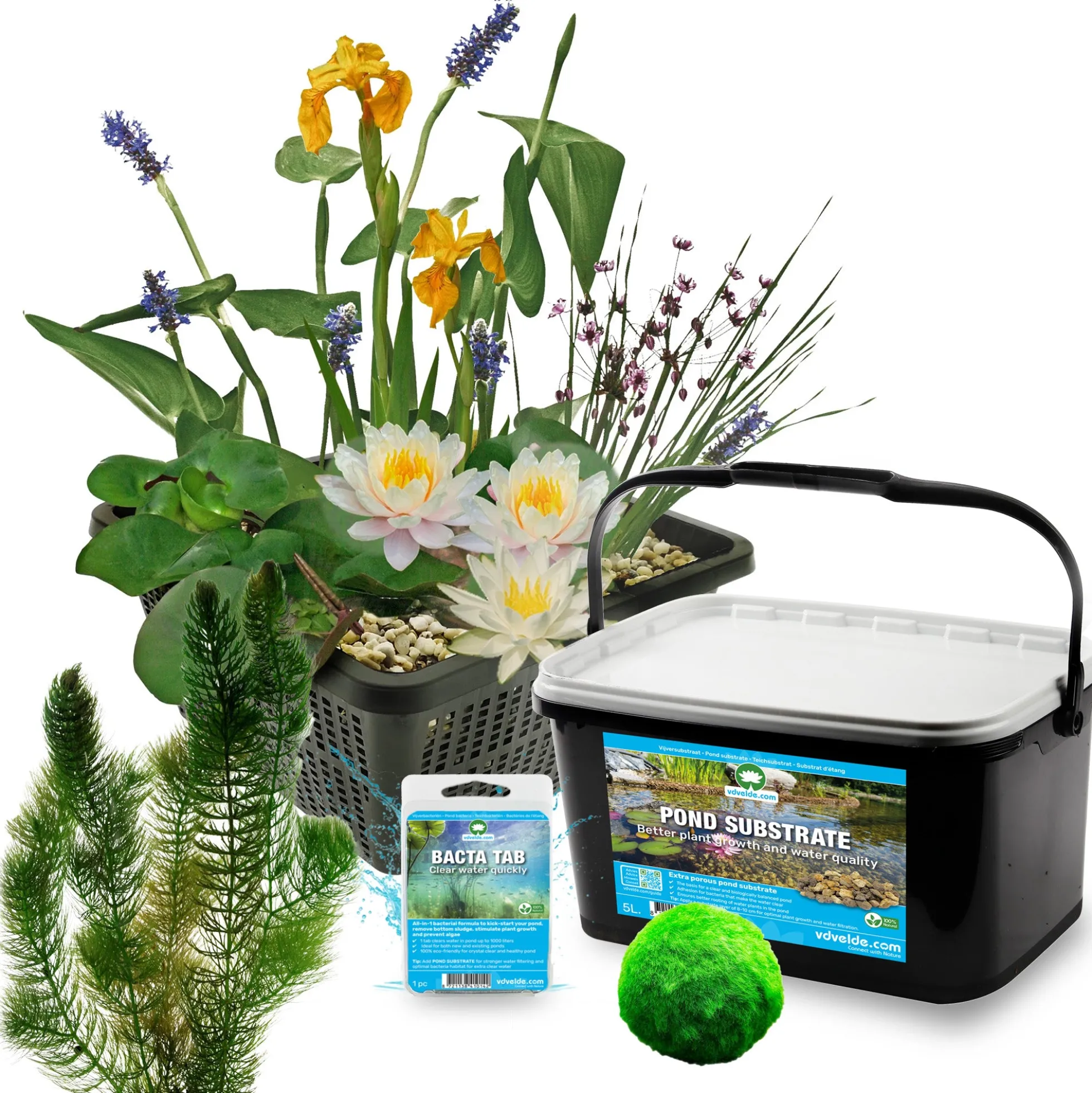 Mini Estanque Set Completo Blanco 25-90l - 11 Plantas Y Bacterias