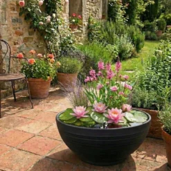Mini Estanque Set Completo Rosa 25-90l - 11 Plantas Y Bacterias