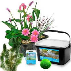 Mini Estanque Set Completo Rosa 25-90l - 11 Plantas Y Bacterias