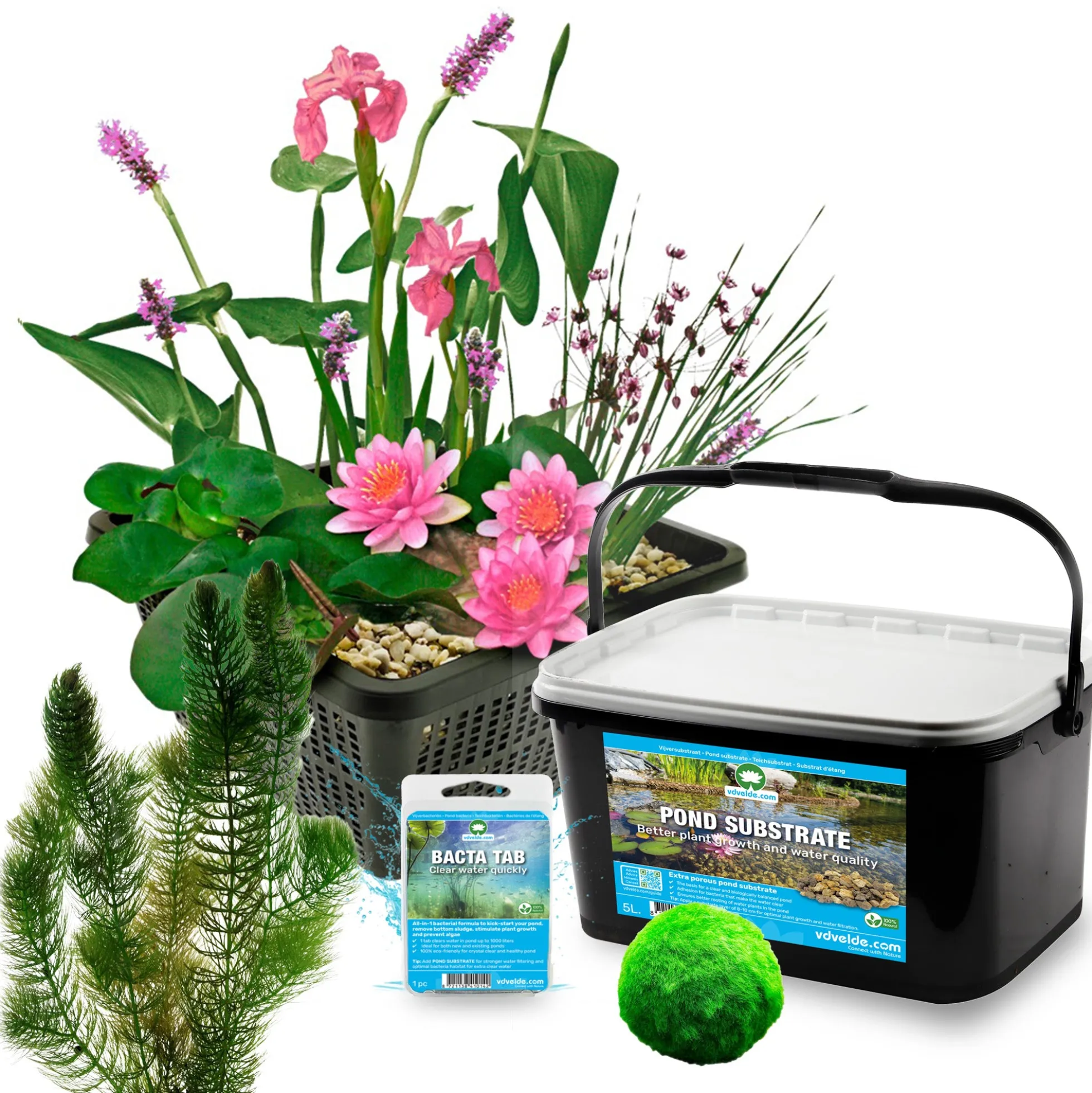 Mini Estanque Set Completo Rosa 25-90l - 11 Plantas Y Bacterias