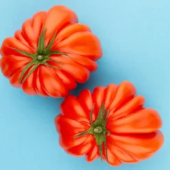 Mini Huerto de Tomates Cherry, Corazón de Buey y RAF | Huerto Urbano Fácil - Resetea
