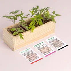 Mini Huerto de Tomates Cherry, Corazón de Buey y RAF | Huerto Urbano Fácil - Resetea