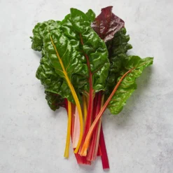Mini Huerto Hortalizas Extrañas Acelga Arcoíris, Zanahoria Morada y Brócoli Rosa - Resetea