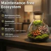 Mini Terrario Diy - Ecosistema Autosuficiente